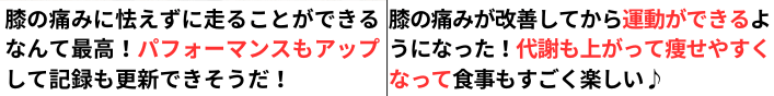 膝痛が改善して人生を楽しんでいる人達の説明文