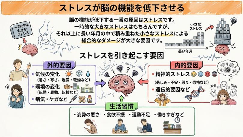 ストレスが脳の機能を低下させることを説明するイラスト