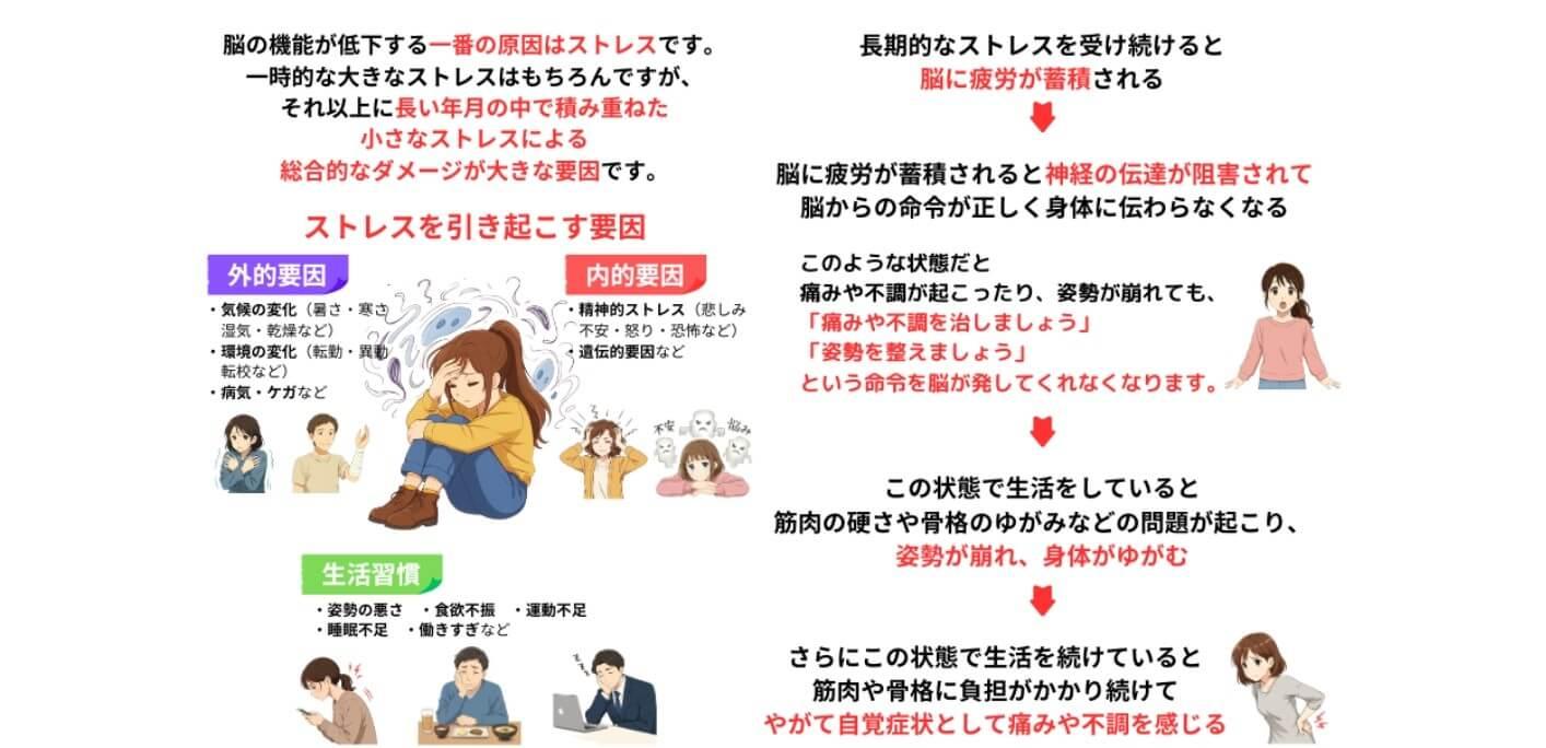 ストレスが脳の機能低下の原因