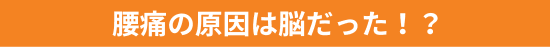腰痛の原因は脳だった！？
