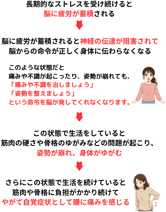 長期的なストレスを受け続けると脳に疲労が蓄積され、神経の伝達が阻害されて脳からに命令が正しく身体に伝わらなくなる。これにより回復できなくなり腰痛を感じるようになります。
