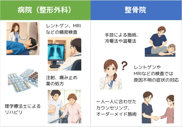 病院と整骨院の役割の違い