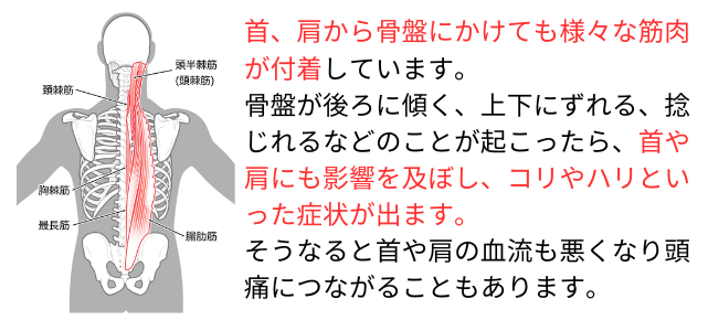 身体のゆがみが引き起こすこと
