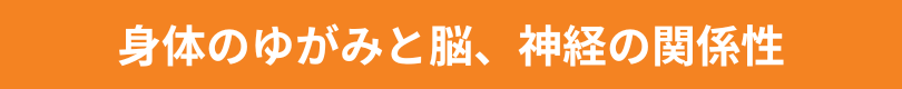 身体のゆがみと脳、神経との関係性