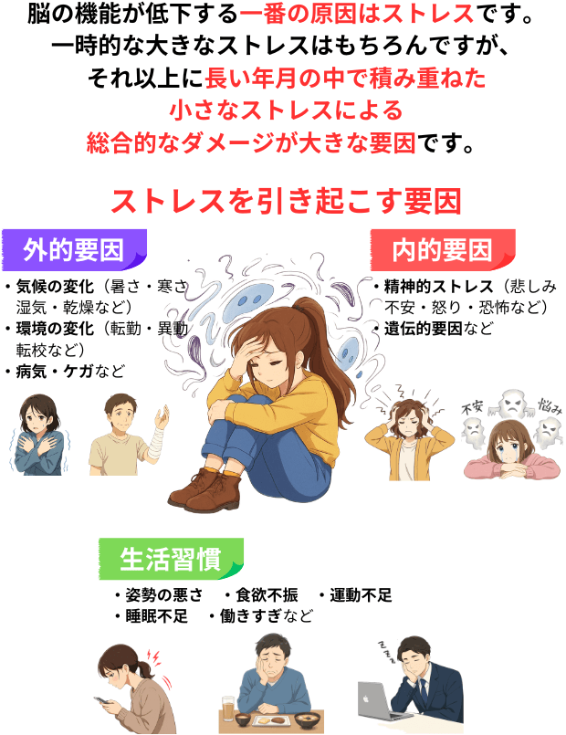 ストレスが脳の機能の低下の原因
