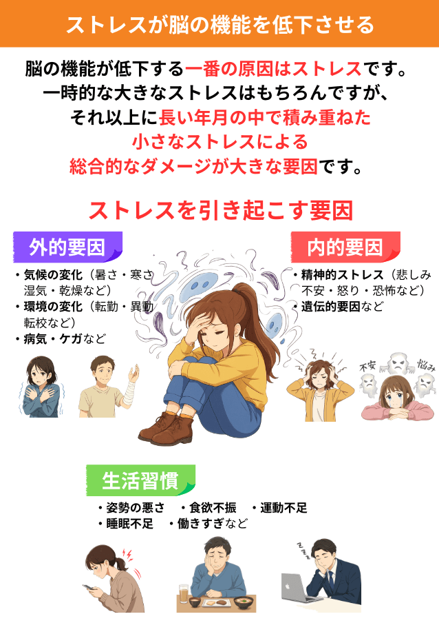 ストレスが脳の機能低下の原因