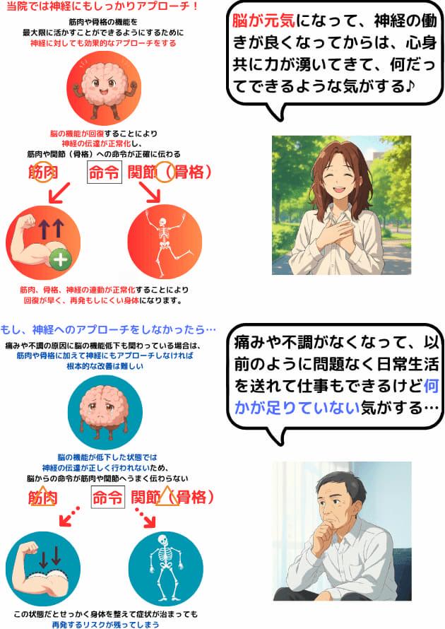 脳の機能が回復すれば神経、骨格、筋肉のポテンシャルが最大限発揮されます