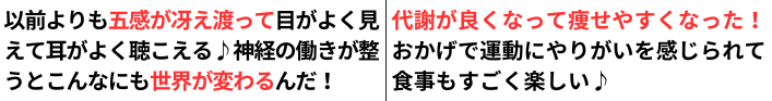 自律神経の状態が良くなって人生を楽しんでいる人達の説明文