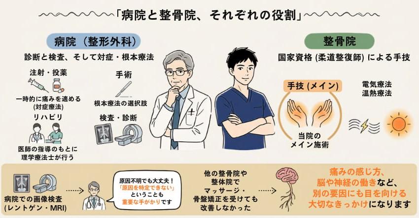 病院と整骨院の役割の違い