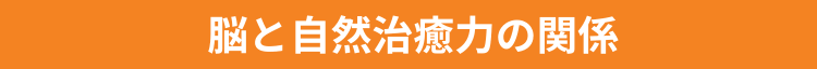 脳と自然治癒力の関係