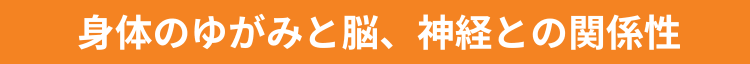 身体のゆがみと脳、神経との関係性