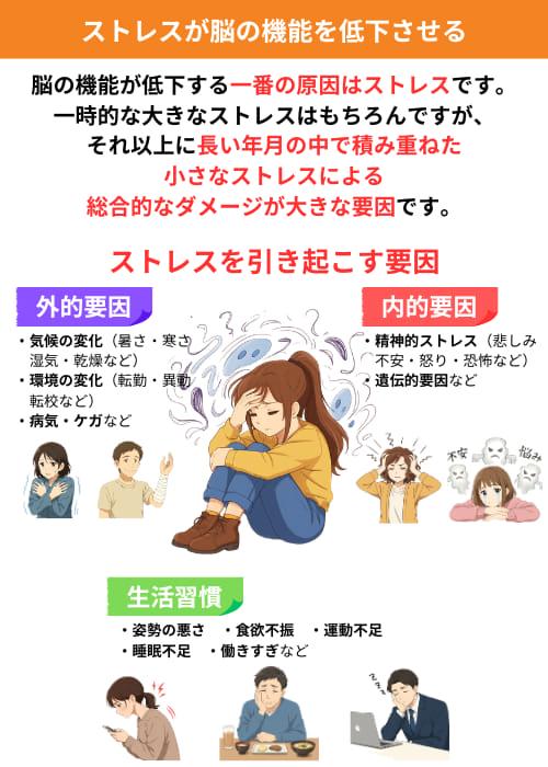 脳の機能が低下する一番の原因はストレスです。一時的な大きなストレスはもちろんですが、それ以上に長い年月の中で積み重ねた小さなストレスによる総合的なダメージが大きな要因です。