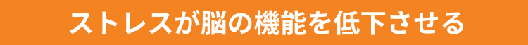 ストレスが脳の機能を低下させる