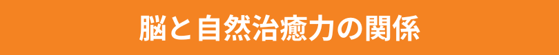 脳と自然治癒力の関係
