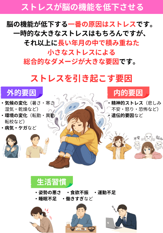 脳の機能が低下する一番の原因はストレスです。一時的な大きなストレスはもちろんですが、それ以上に長い年月の中で積み重ねた小さなストレスによる総合的なダメージが大きな要因です。