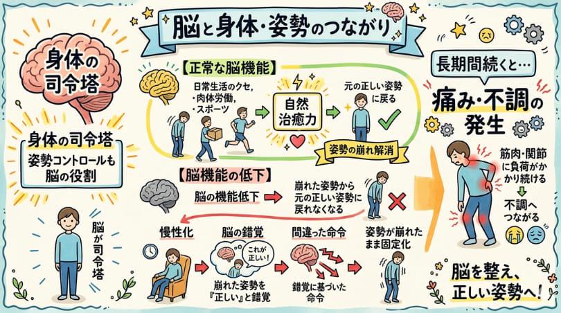 脳の機能低下が姿勢の崩れを起こすことを説明しているイラスト