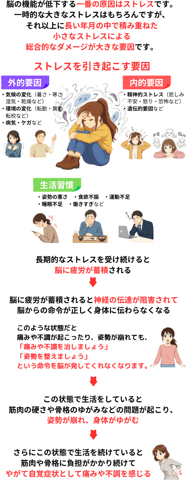 ストレスが脳の機能の低下の原因