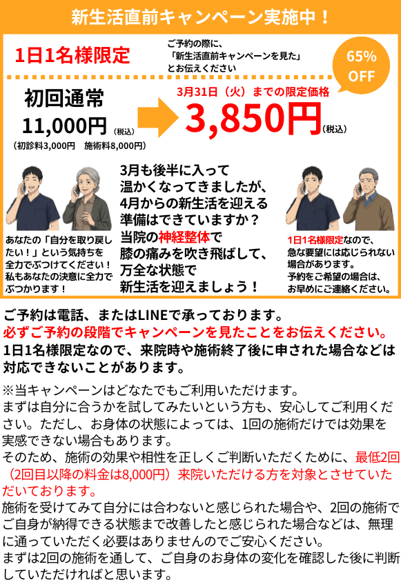 キャンペーン情報