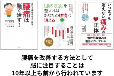 脳と痛みの関係について言及している書籍