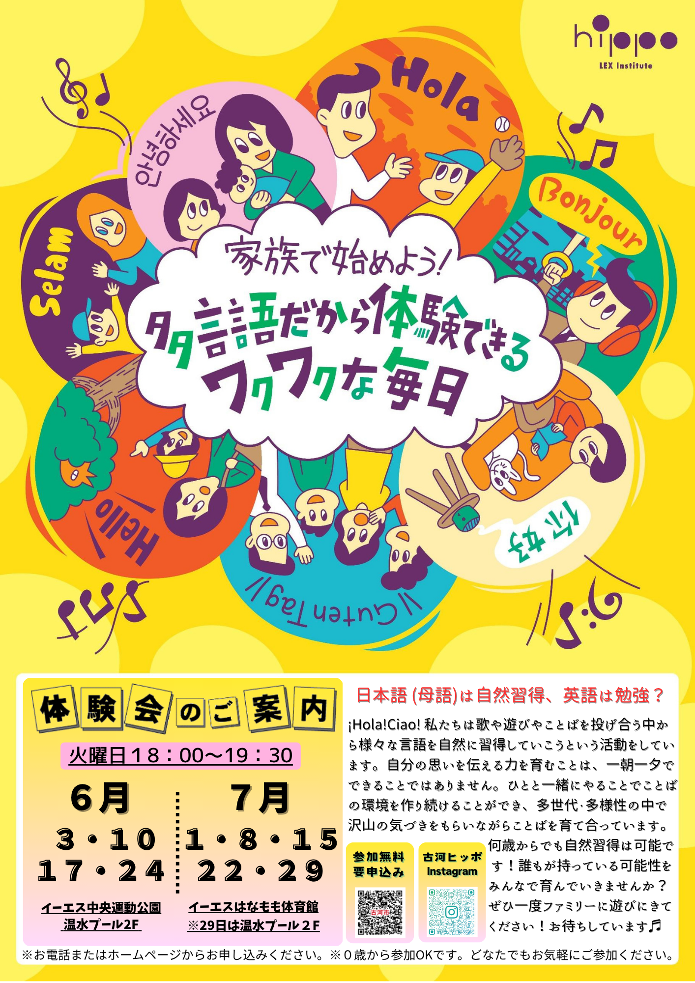 ヒッポファミリークラブSD10 1枚 ヒッポファミリークラブ 多言語 
