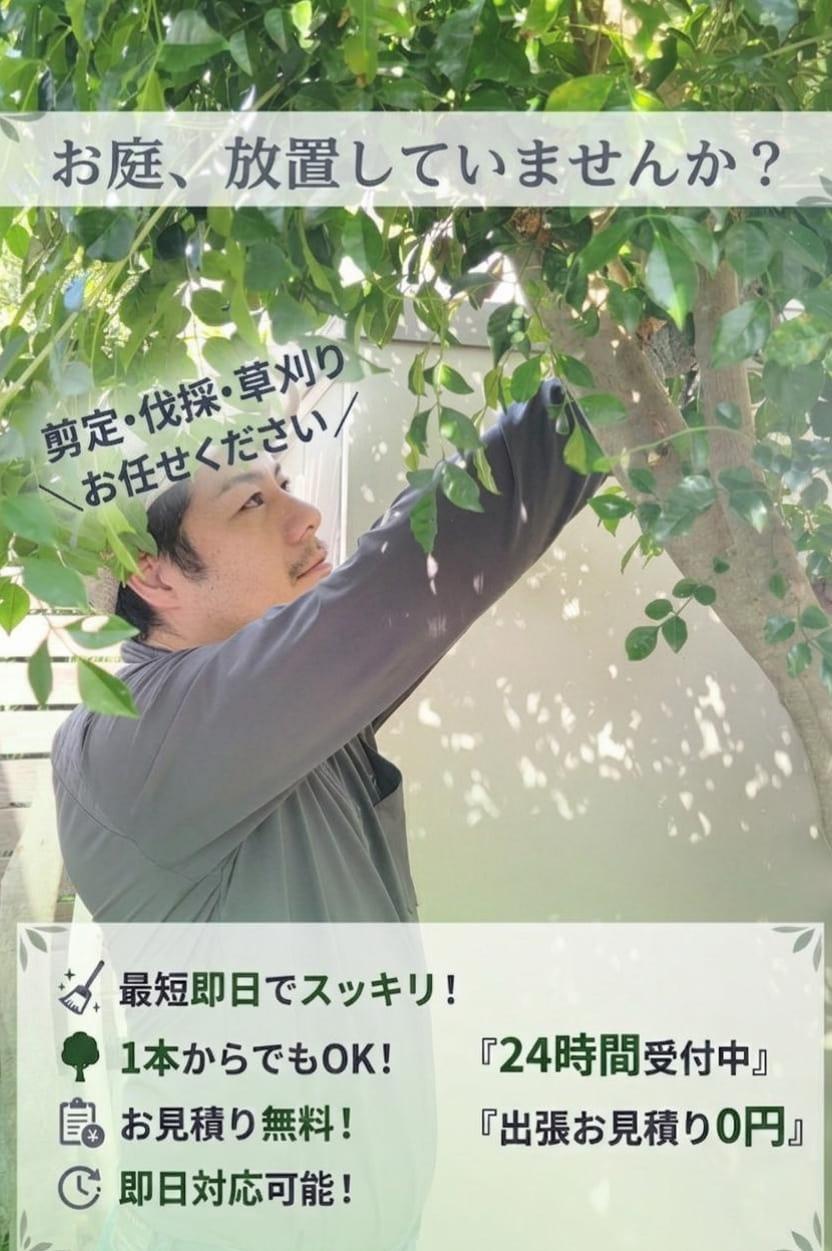 庭屋禅【即日対応可】地域最安！剪定/草刈りお任せ！木1本からOK