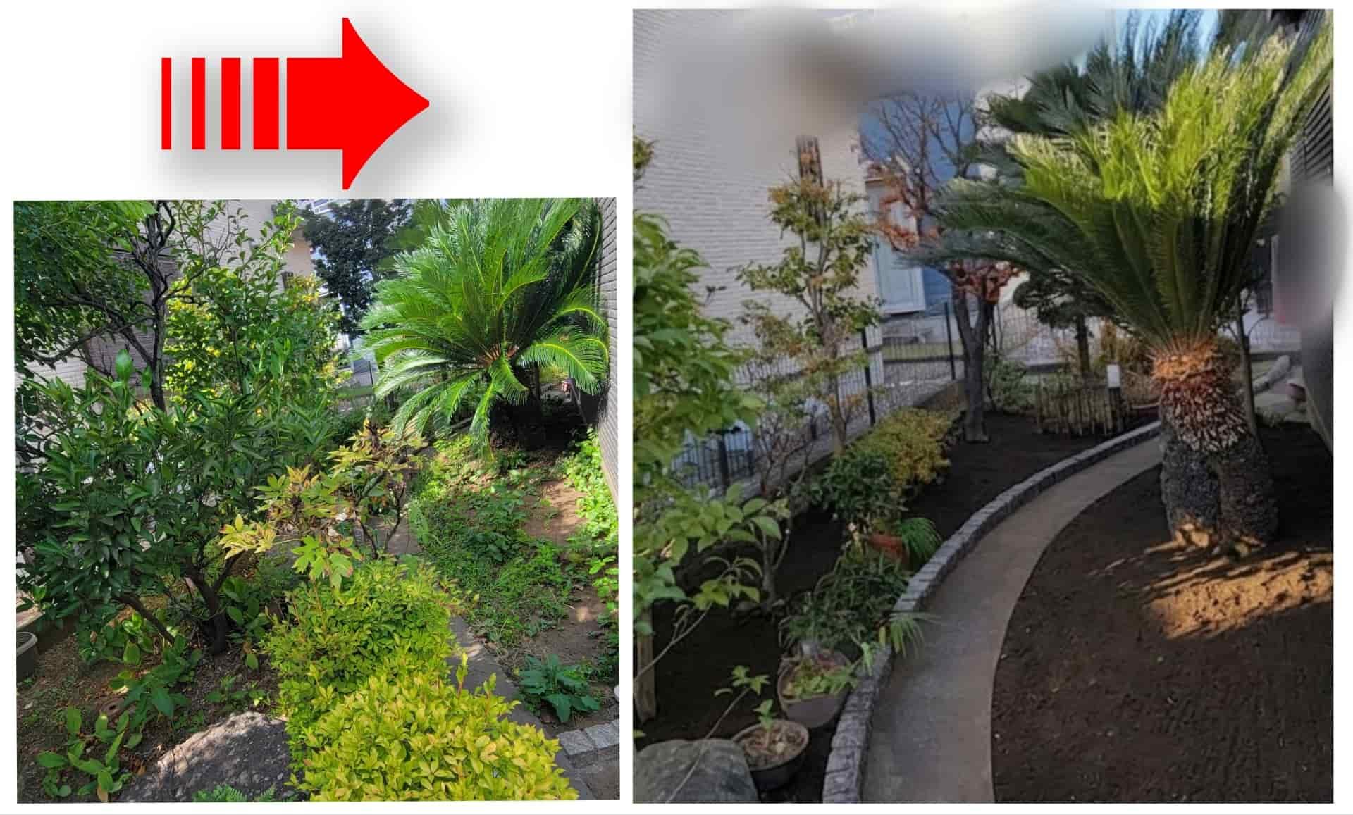 庭屋禅【即日対応可】地域最安！剪定/草刈りお任せ！木1本からOK