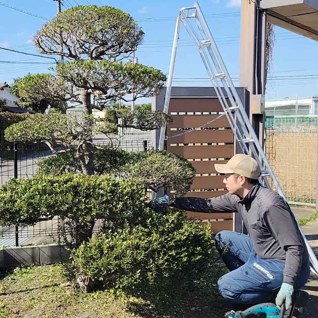 これだけでも頼めるかな？小さなお悩みも大歓迎です。まずはお気軽にご相談ください！