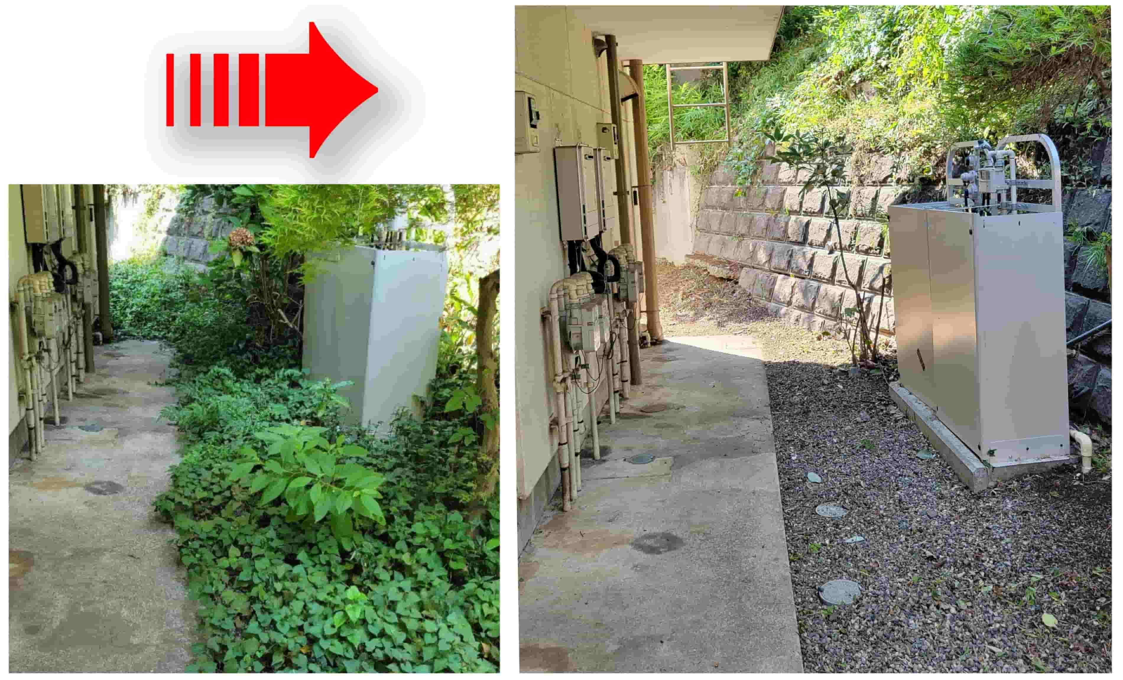 庭屋禅【即日対応可】地域最安！剪定/草刈りお任せ！木1本からOK