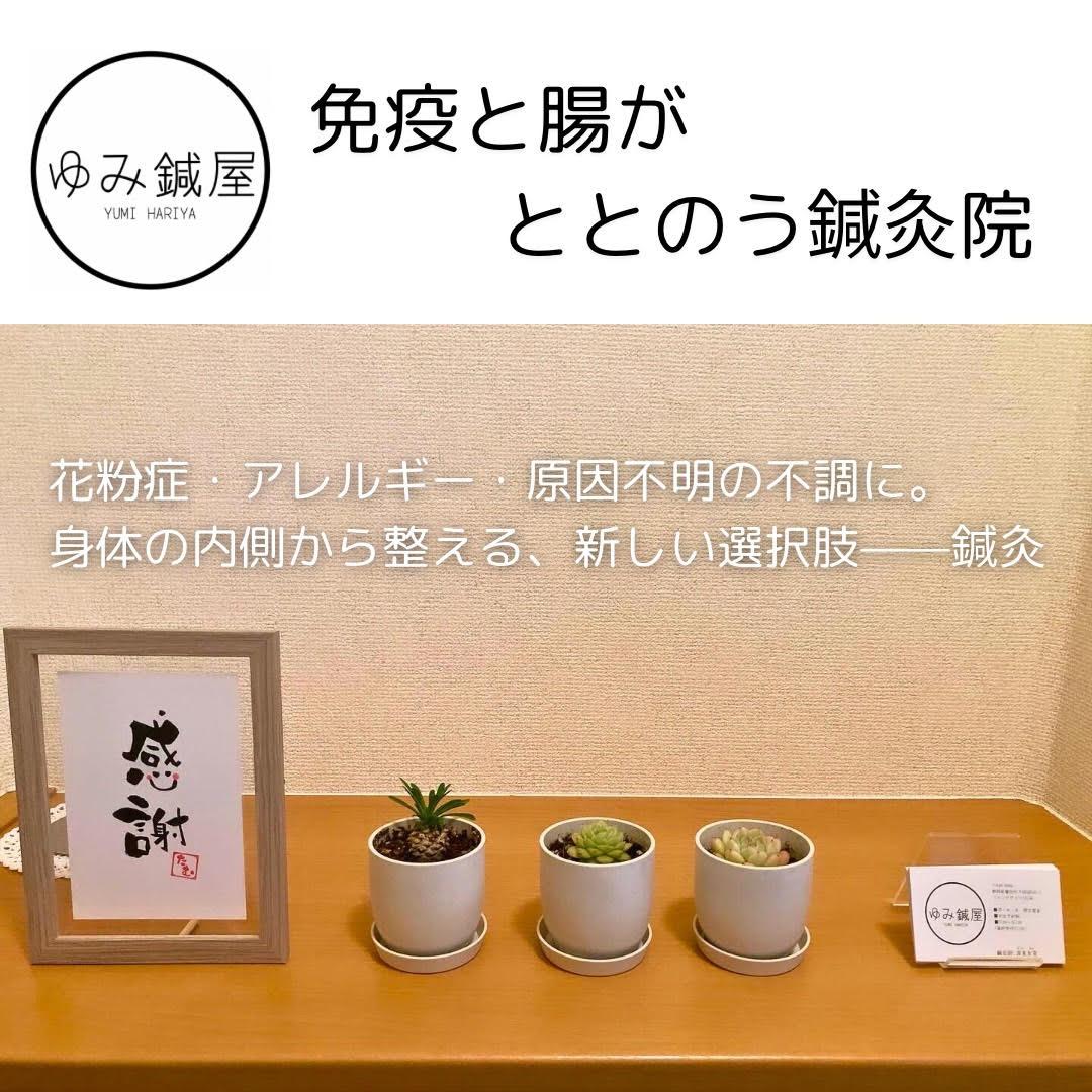 ゆみ鍼屋　磐田市　鍼灸院
