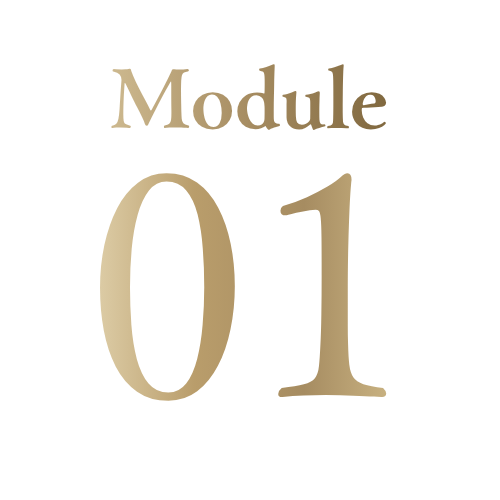 Module 1