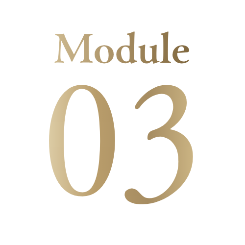 Module 3