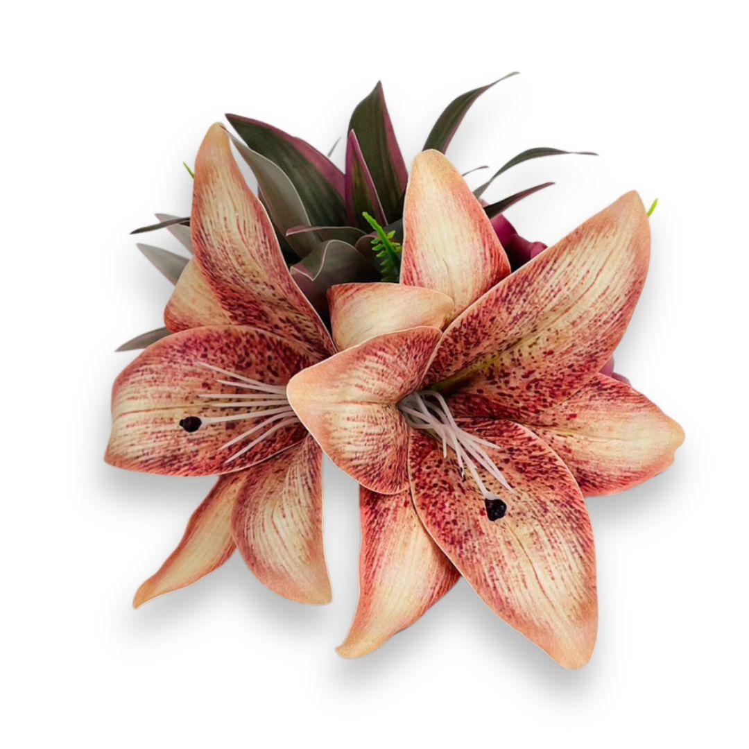 K-536-CL ﾘﾘｰｸﾘｯﾌﾟ　ｱﾌﾟﾘｺｯﾄの商品画像