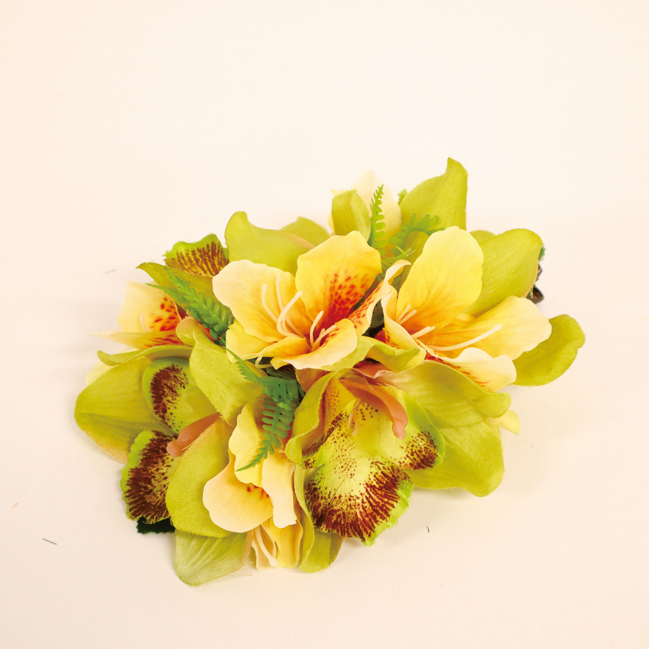 K-551-CL ｼﾝﾋﾞｼﾞｳﾑ&ｱﾘｽﾄﾛﾒﾘｱｸﾘｯﾌﾟ　ｸﾞﾘｰﾝの商品画像