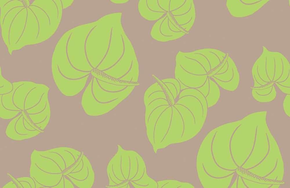OP-J-001-GR Anthurium ｱﾝｽﾘｳﾑ [ｼﾞｮｰｾﾞｯﾄ] ｸﾞﾘｰﾝの商品画像