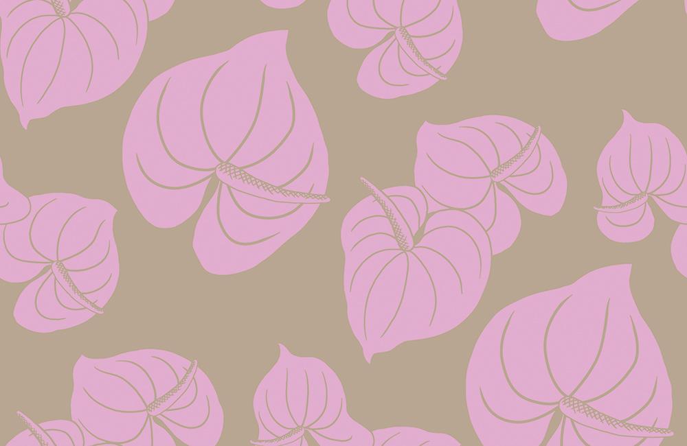 OP-J-001-PK Anthurium ｱﾝｽﾘｳﾑ [ｼﾞｮｰｾﾞｯﾄ] ﾋﾟﾝｸの商品画像
