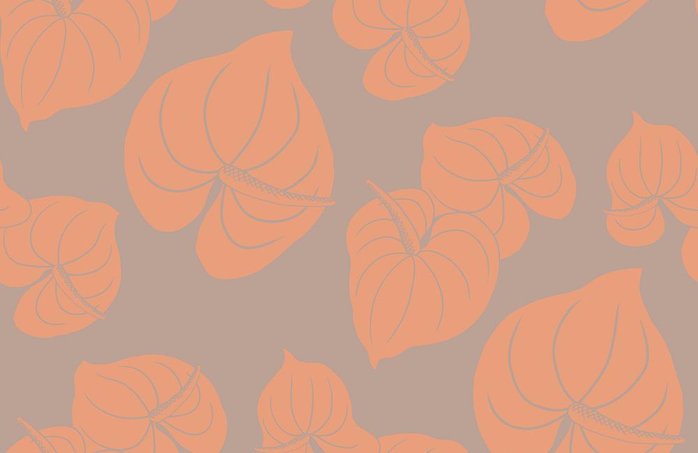 OP-J-001-OR Anthurium ｱﾝｽﾘｳﾑ [ｼﾞｮｰｾﾞｯﾄ] ｵﾚﾝｼﾞの商品画像