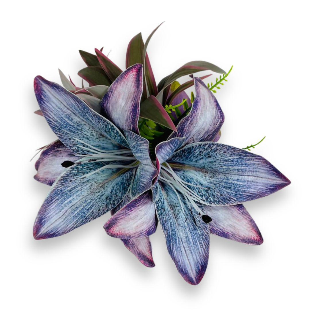 K-537-CL ﾘﾘｰｸﾘｯﾌﾟ　ﾊﾞｲｵﾚｯﾄの商品画像