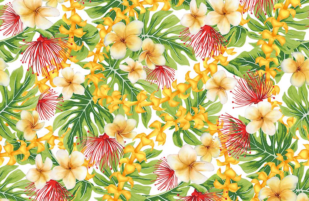OP-S-016-YE Nani o Hawaii ﾅﾆｵﾊﾜｲ　ｲｴﾛｰの商品画像