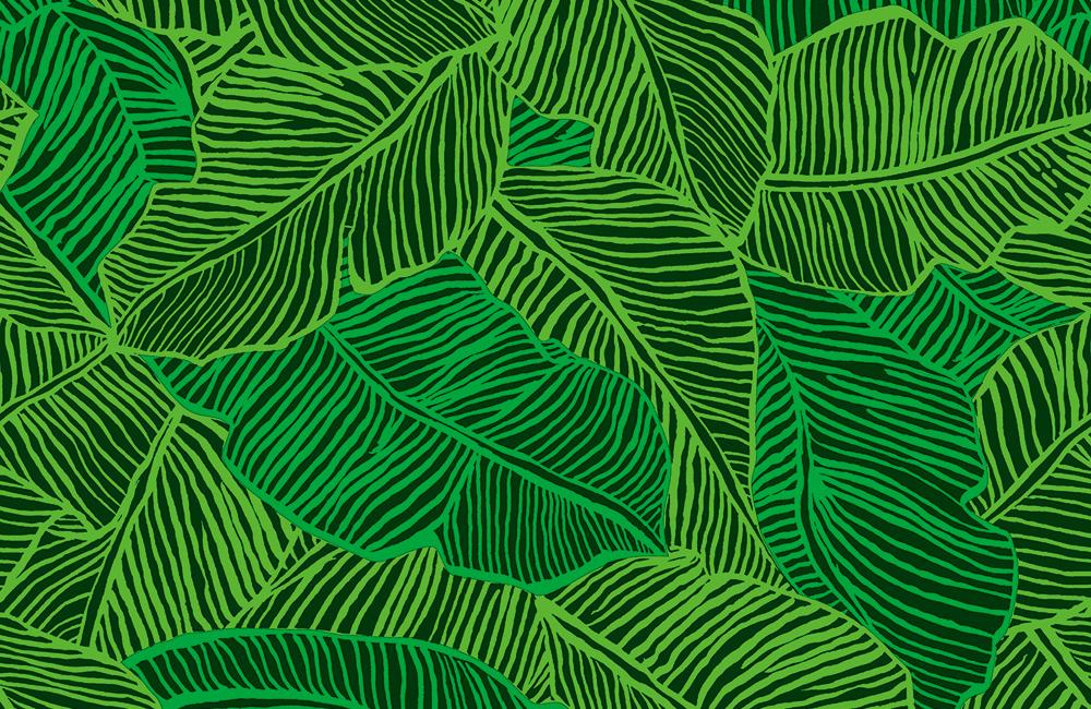 OP-070-GR New Banana Leaf ﾆｭｰﾊﾞﾅﾅﾘｰﾌ ｸﾞﾘｰﾝの商品画像