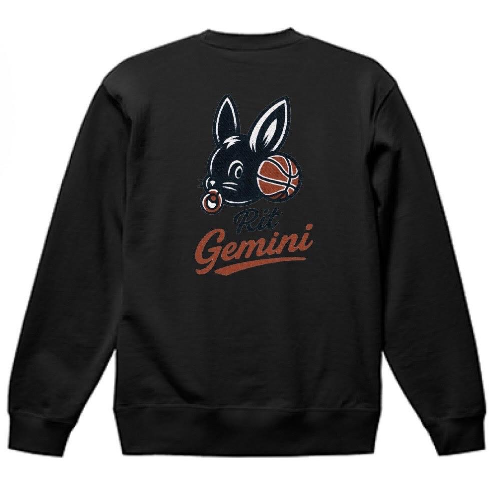 RIT GEMINI  TRINRER BASKET BALLの商品画像