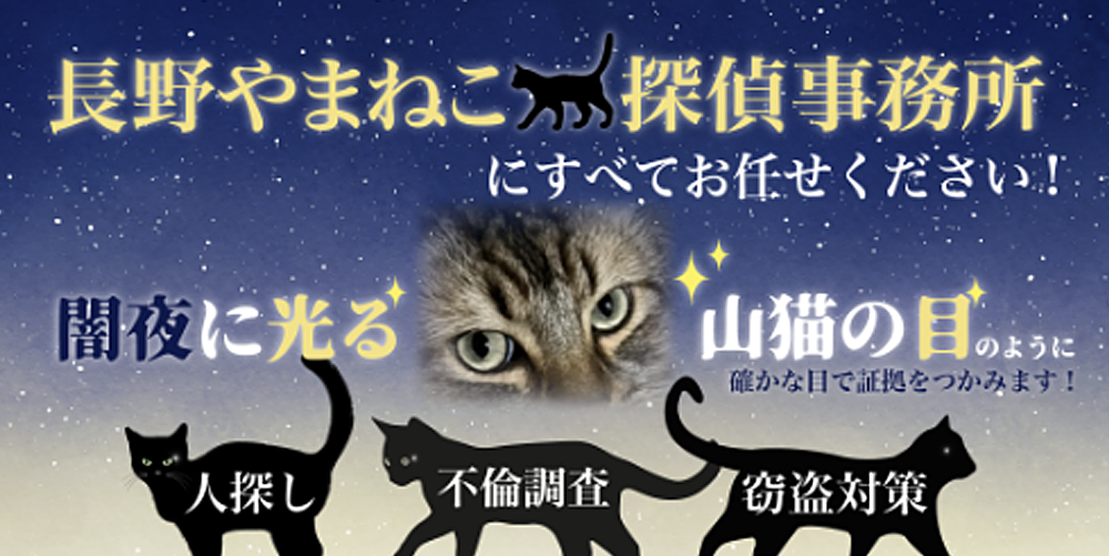 長野やまねこ探偵事務所