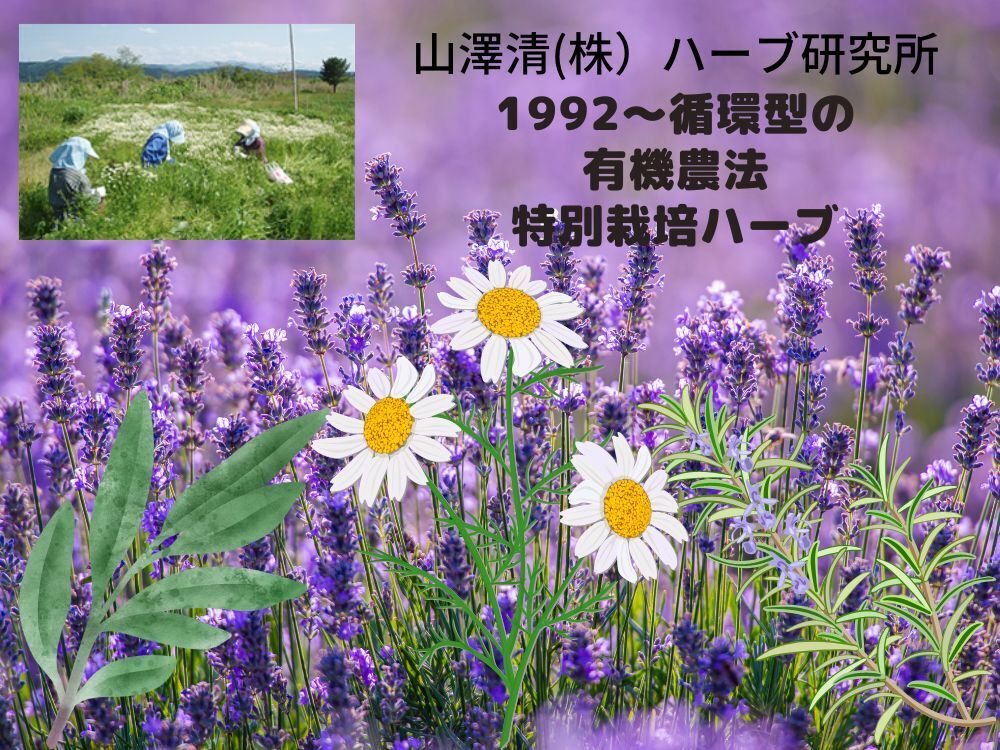 玉川小町のベースは究極のオーガニック（モーガニック）に取り組んでいる株式会社ハーブ研究所です。肥料作りからの拘りで作る特別栽培ハーブが特徴です。