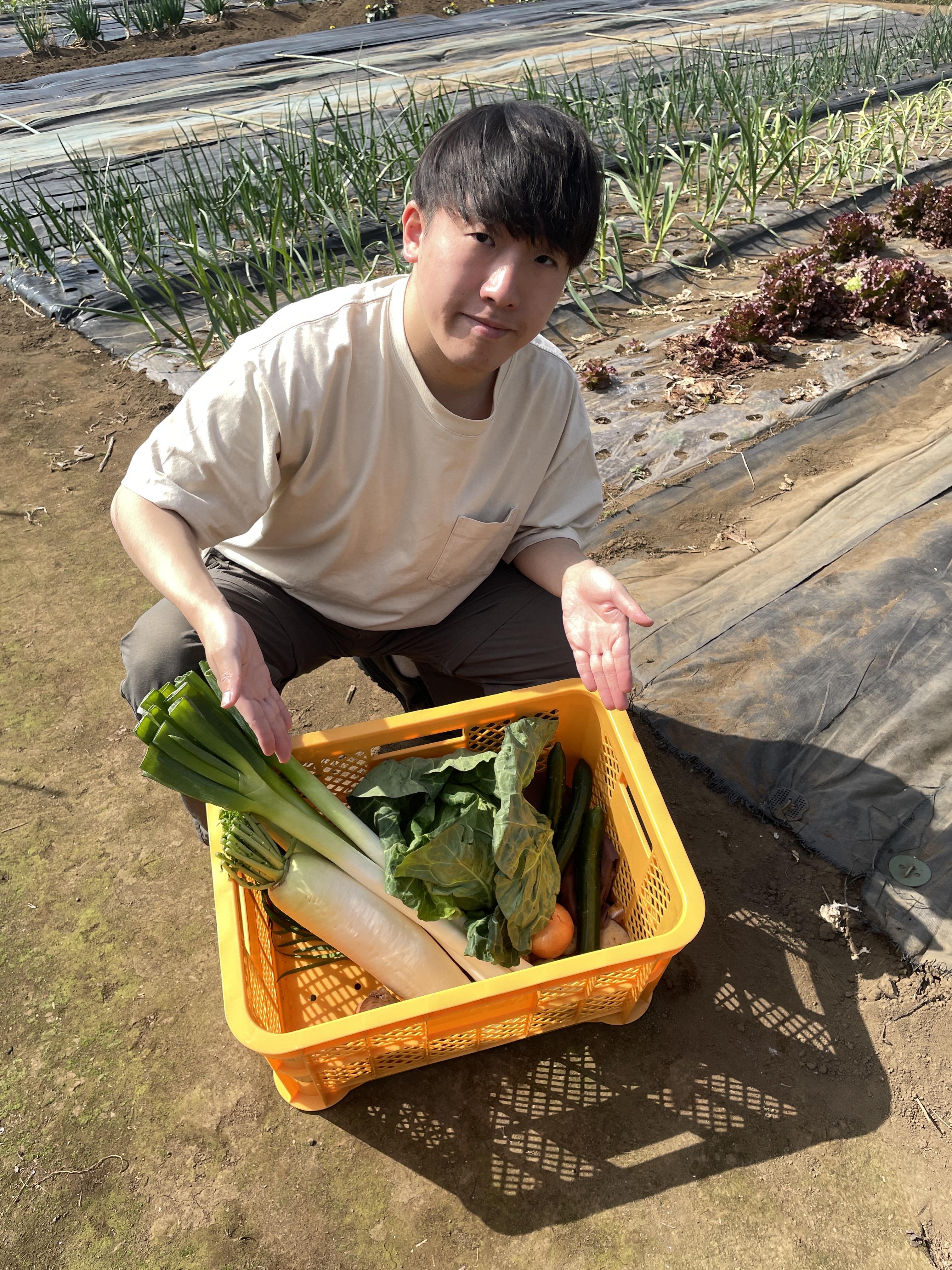 八百安　代表　大塚