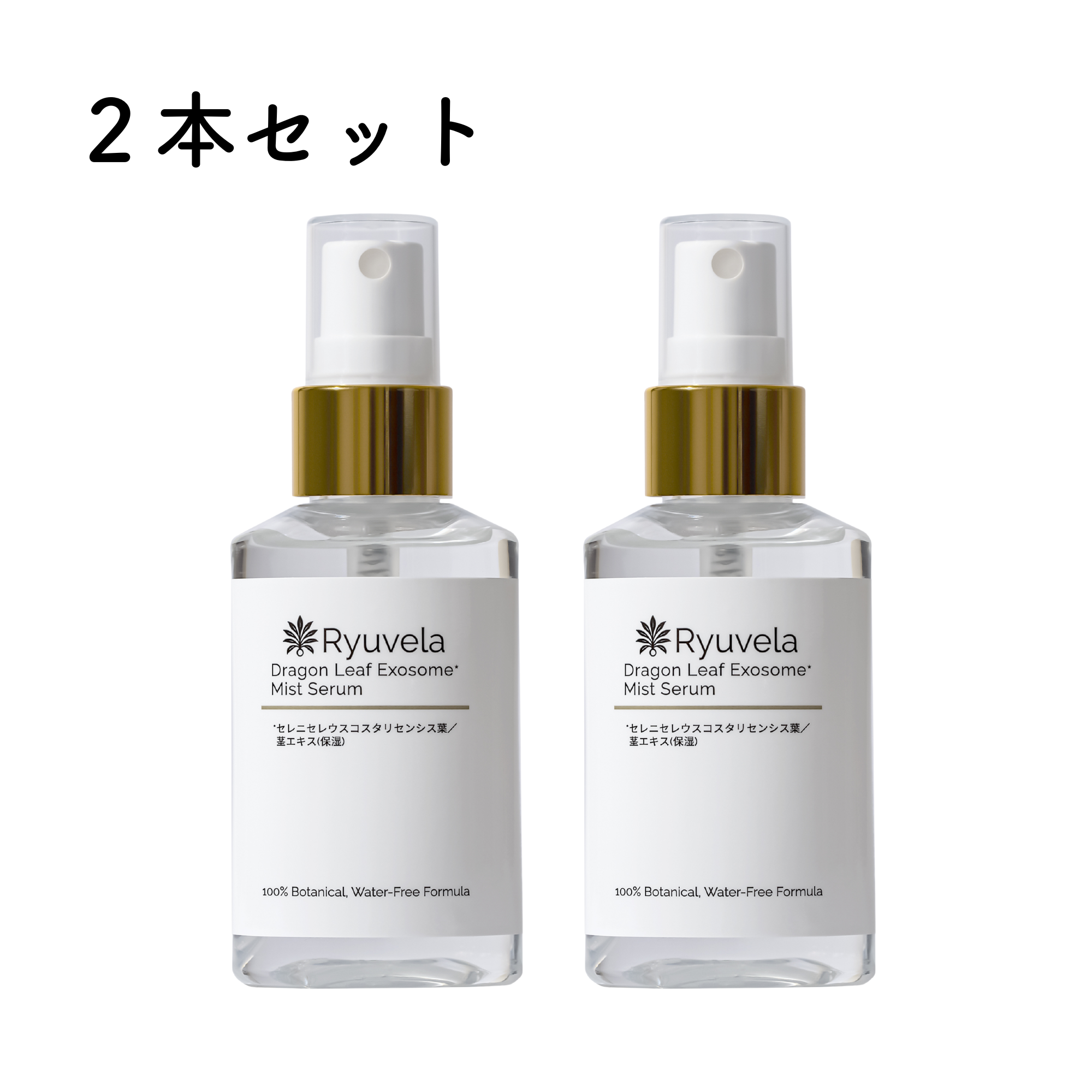 【2本セット】Ryuvela ドラゴンリーフエクソソームミスト美容液の商品画像
