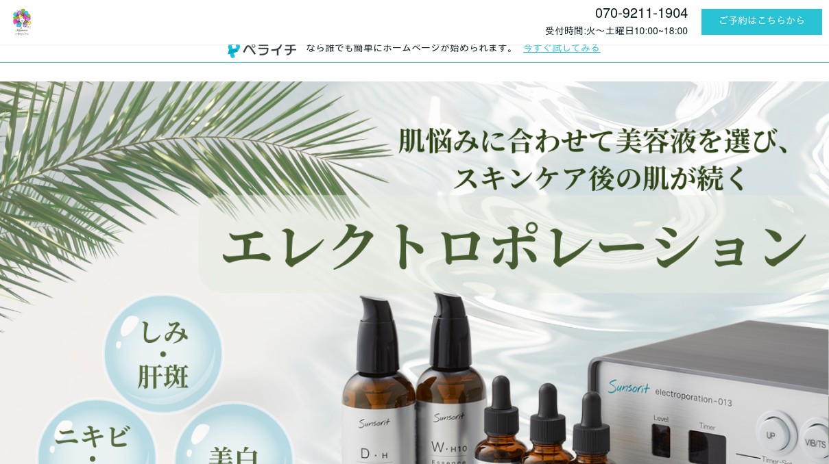 エレクトロポレーション エレクトロポレーション