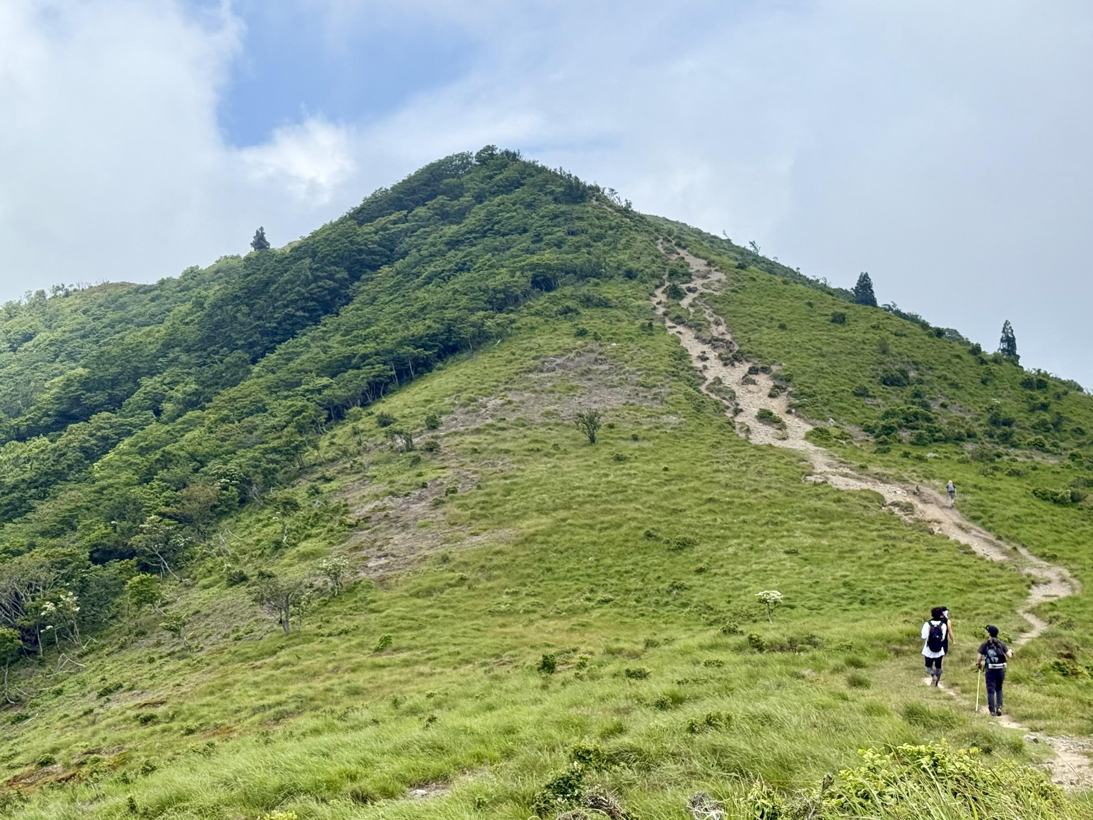 御殿山から武奈ヶ岳への尾根道