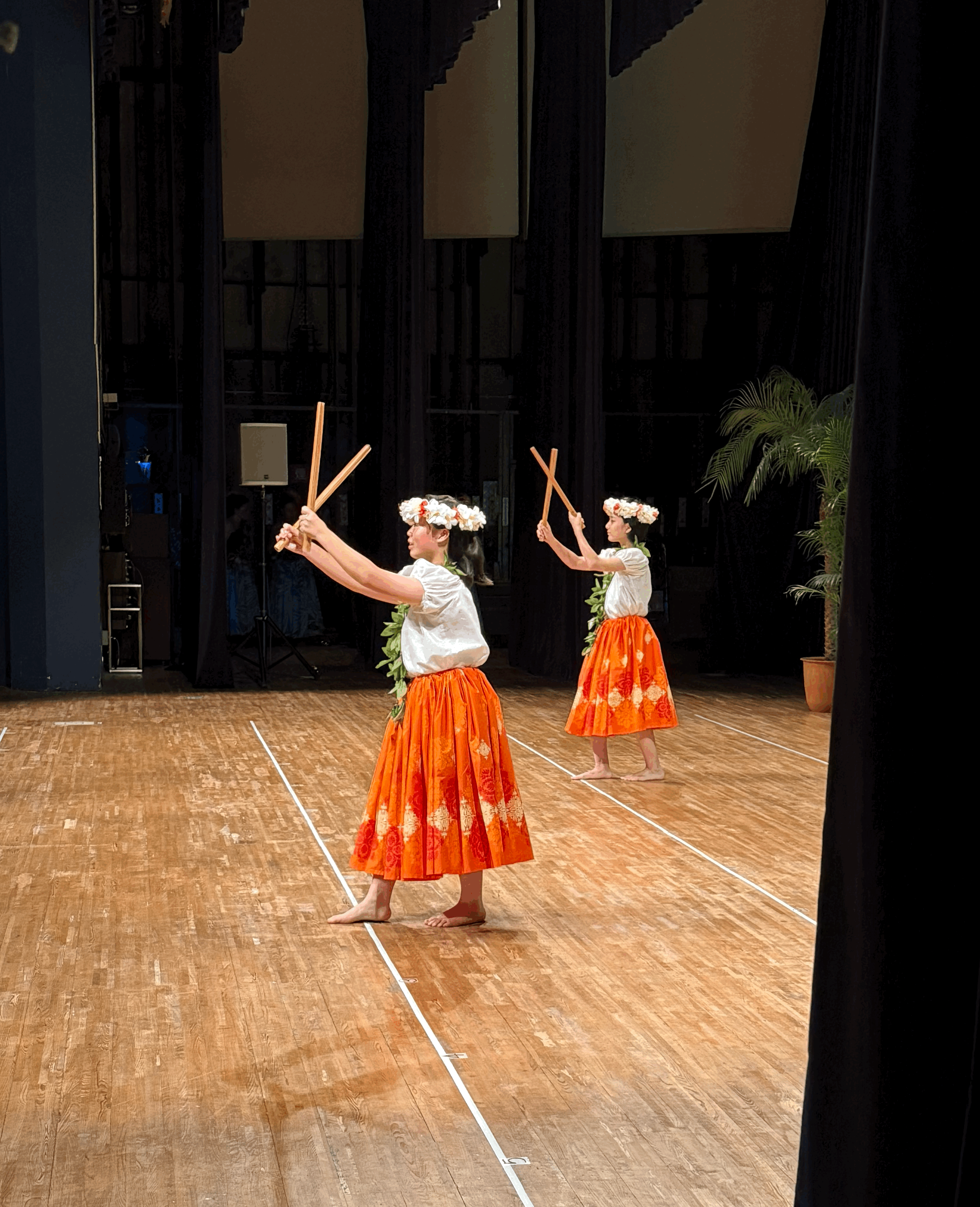 宮前区 フラダンス教室｜Māpuana Hula Studio