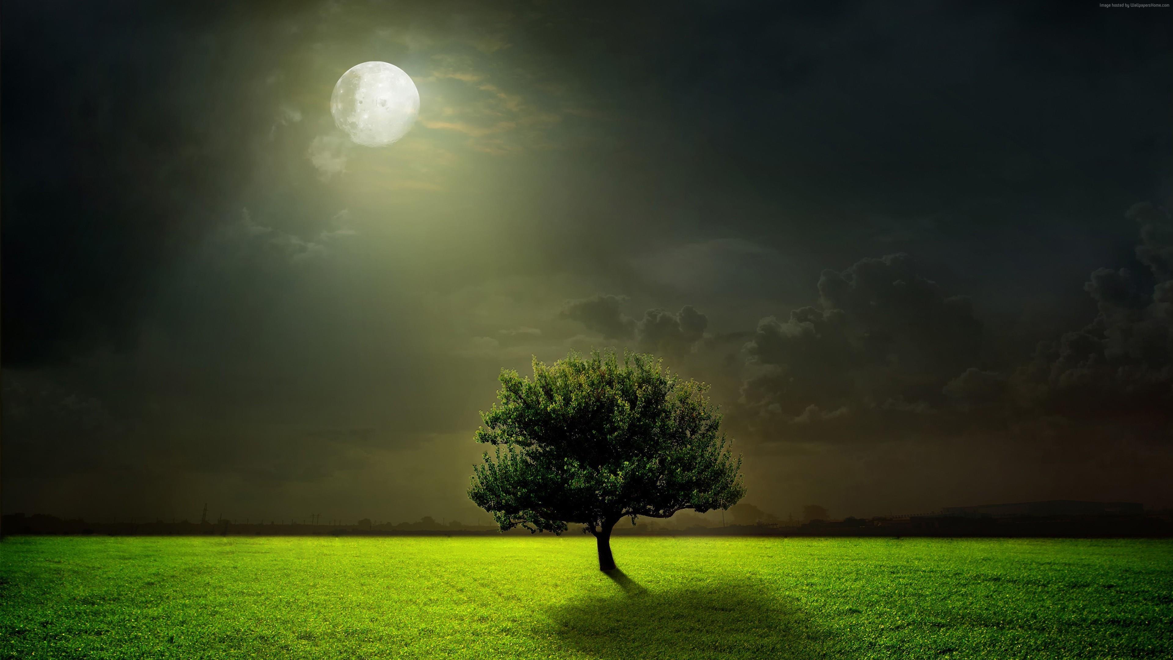 スタンダードルームの商品画像