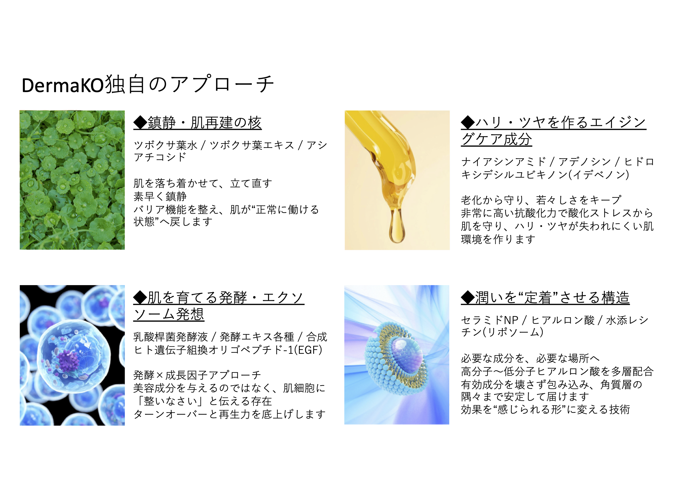 エイジングケア美容クリーム『DermaKO（ダーマコ）』