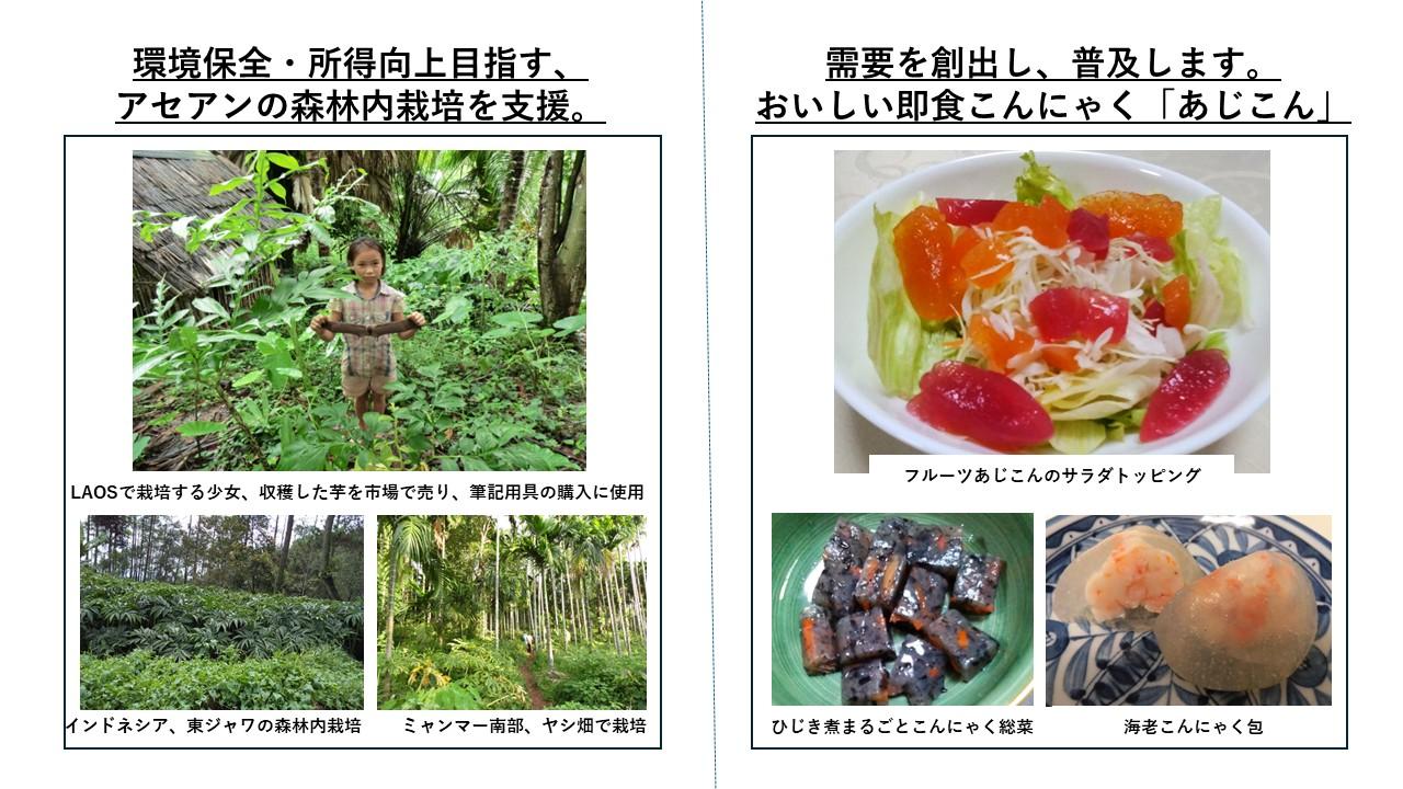 アセアンの森林栽培を支援